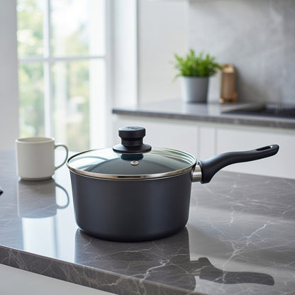 20cm Milk Pan with Glass Lid and Black Handle