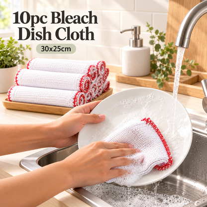 10pc Bleach Dish Cloth Set 30 x 25cm