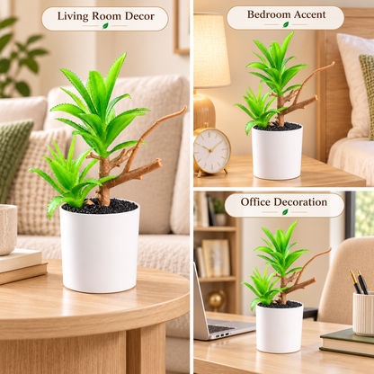 Artificial Succulent Plant in White Pot