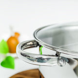 Professional Casserole Induction 28cm / 30cm Glass Lid