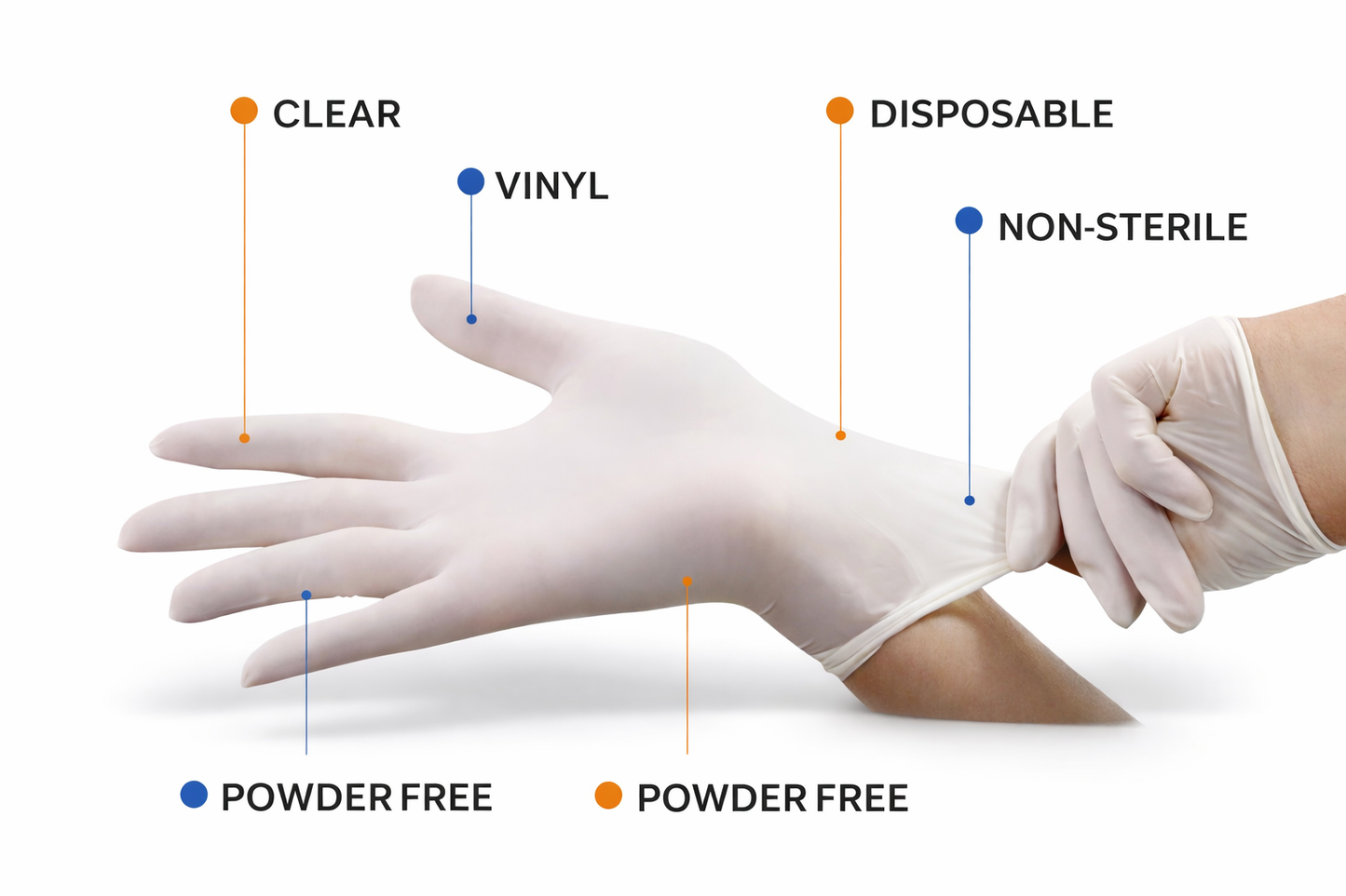 100 Clear Vinyl Disposable Gloves – Powder Free, Latex Free, Non-Sterile, Food Safe – S M L XL
