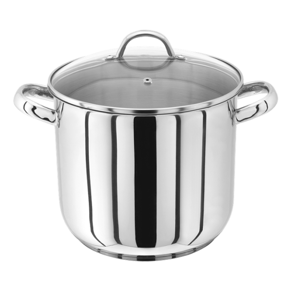 22cm Stockpot with Glass Lid and Induction Base
